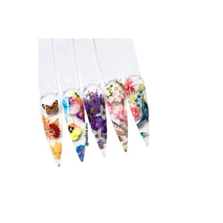 Set Foil Garden