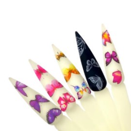 Butterfly Set Foil