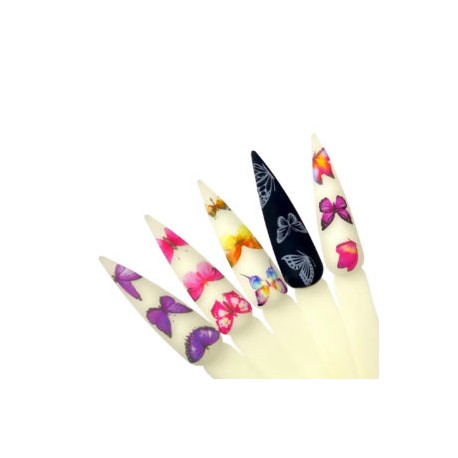 Butterfly Set Foil